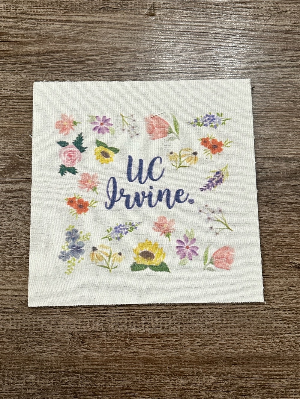 UC Irvine Floral Canvas Wall Art - Multicolor